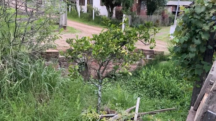 Chácara à venda de 1 ha em Rolante, RS, Brasil