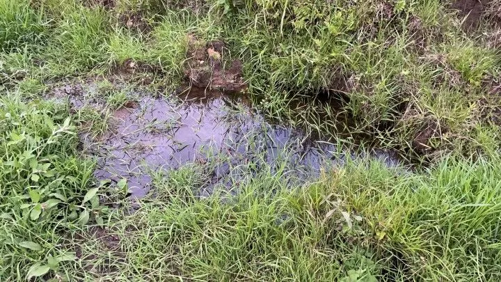 Chácara à venda de 1 ha em Rolante, RS, Brasil