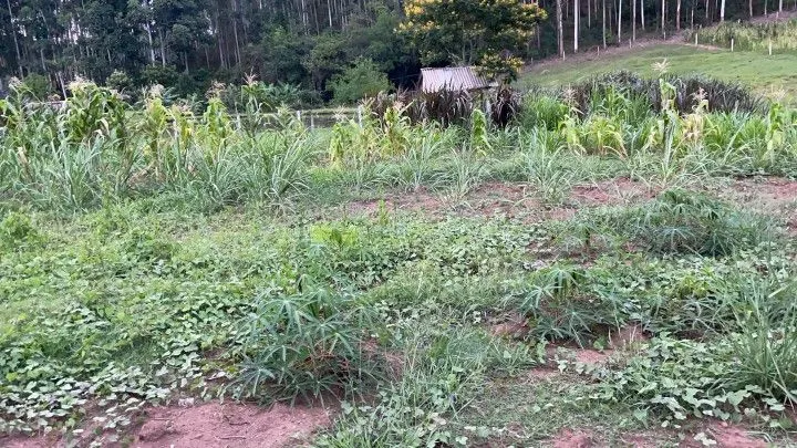 Chácara à venda de 1 ha em Rolante, RS, Brasil