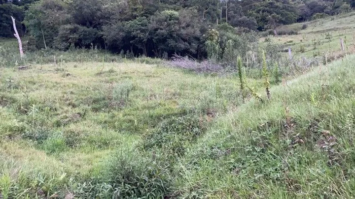 Chácara à venda de 1 ha em Rolante, RS, Brasil