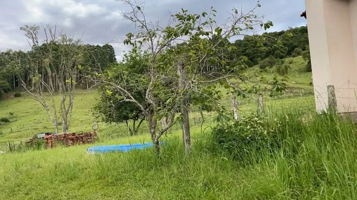 Chácara à venda de 1 ha em Rolante, RS, Brasil