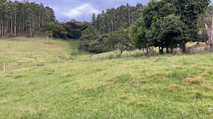 Chácara à venda de 1 ha em Rolante, RS, Brasil