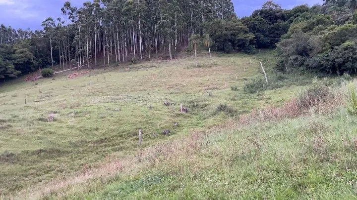 Chácara à venda de 1 ha em Rolante, RS, Brasil