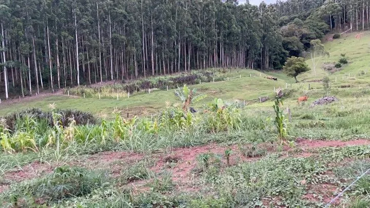 Chácara à venda de 1 ha em Rolante, RS, Brasil