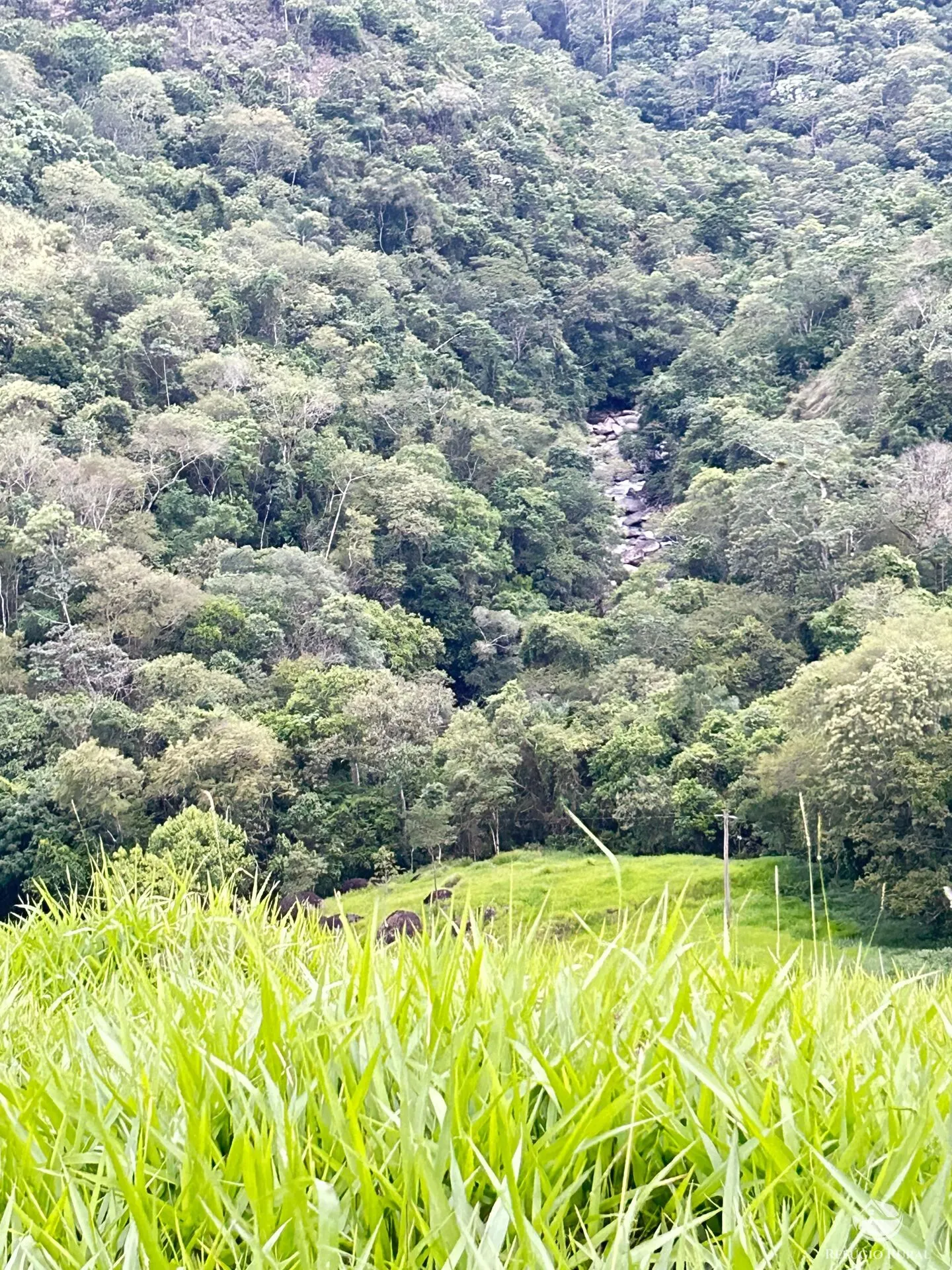 Plot for sale of 5 acres in São José dos Campos, SP, Brazil
