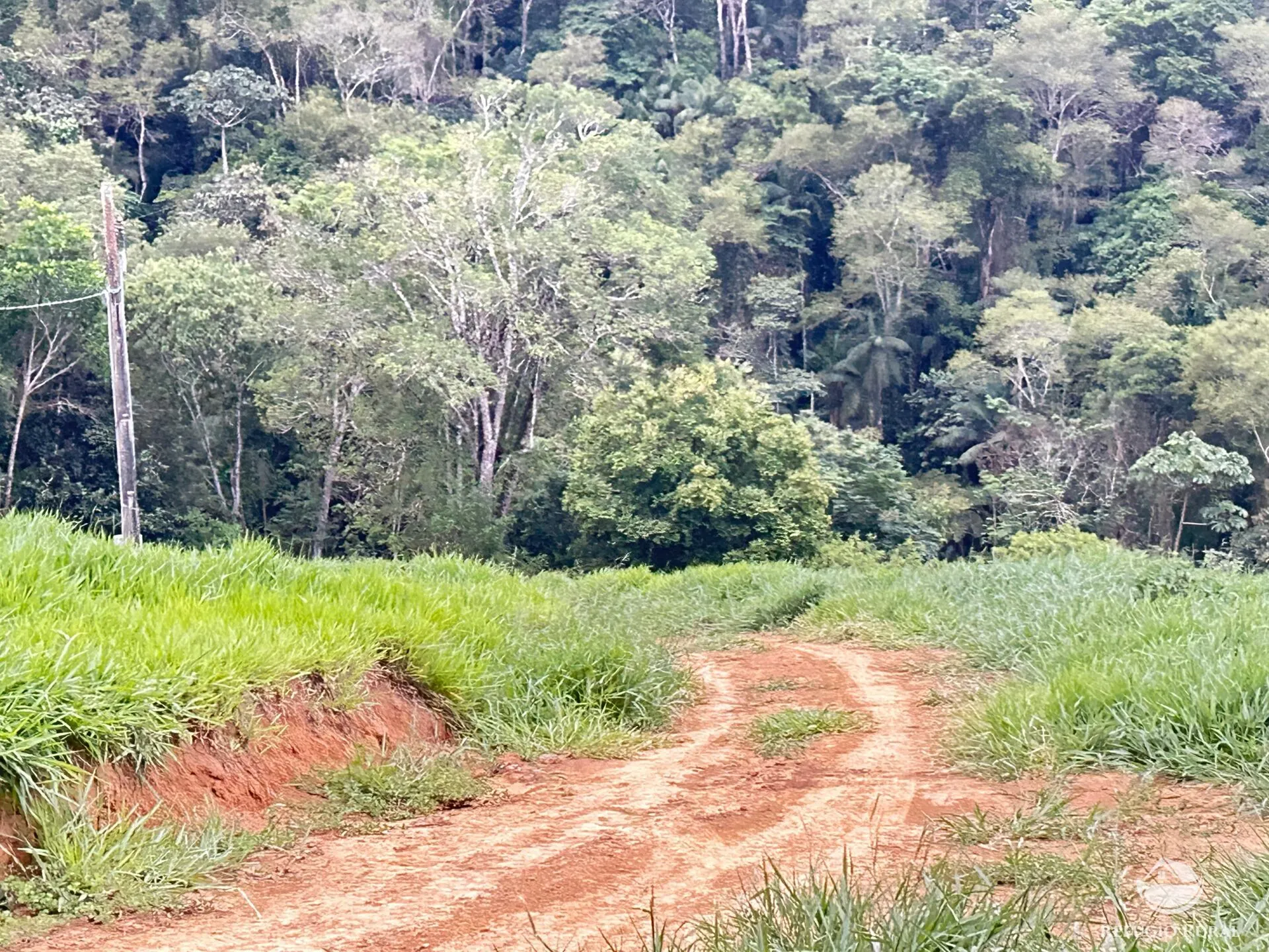 Plot for sale of 5 acres in São José dos Campos, SP, Brazil