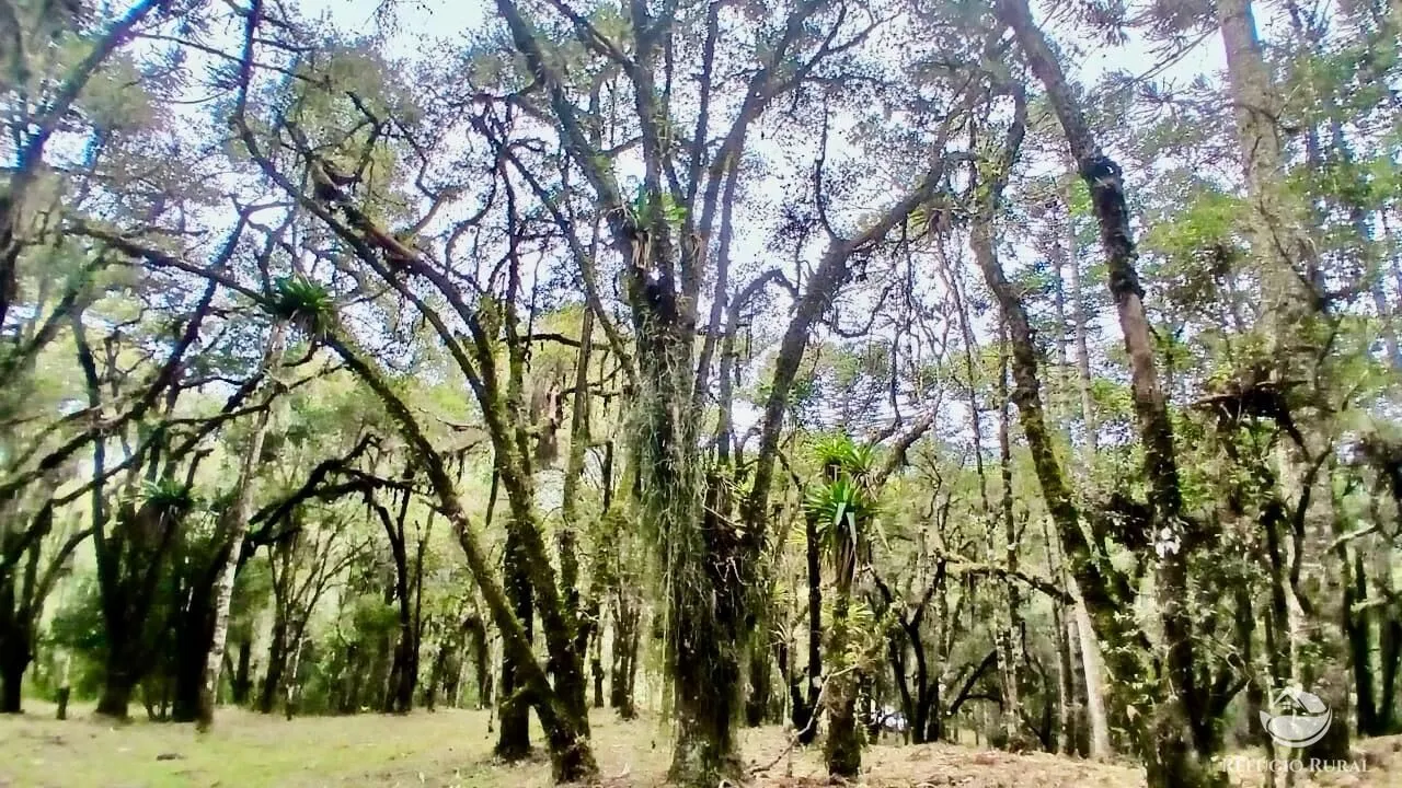 Sítio à venda de 4 ha em Sapucaí-Mirim, MG, Brasil