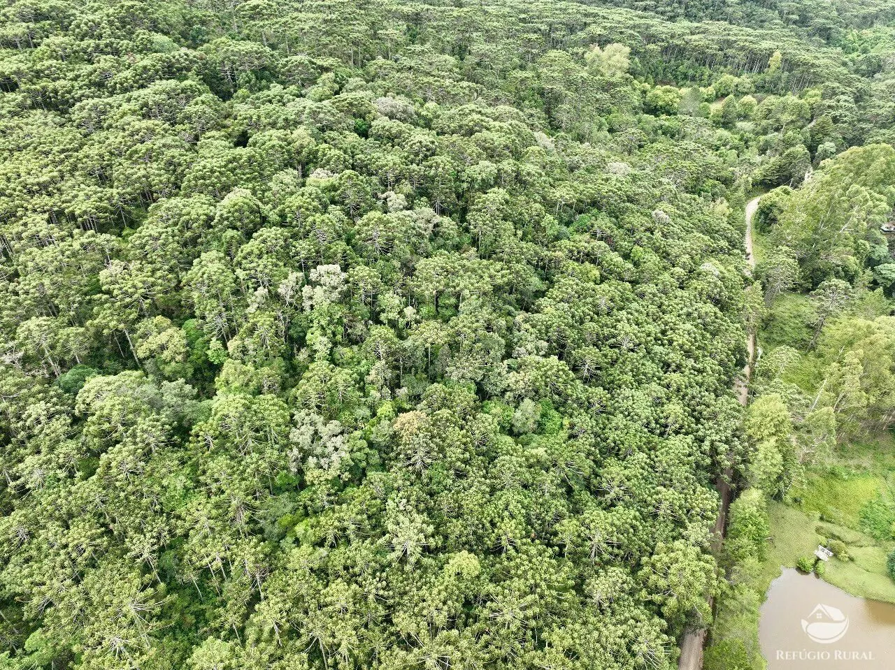 Sítio à venda de 4 ha em Sapucaí-Mirim, MG, Brasil