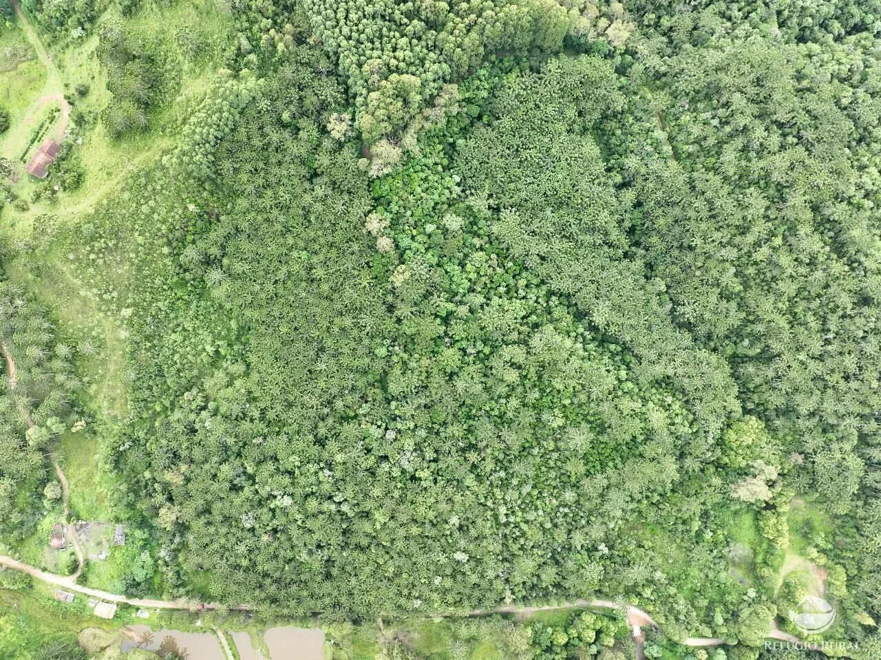 Sítio à venda de 4 ha em Sapucaí-Mirim, MG, Brasil