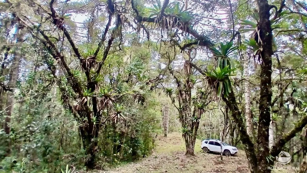 Sítio à venda de 4 ha em Sapucaí-Mirim, MG, Brasil