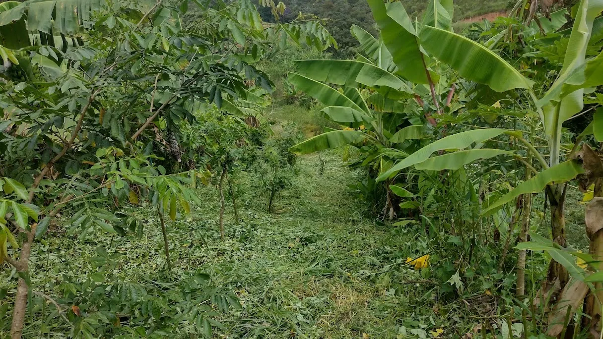 Pousada à venda de 21 ha em Ouro Preto, MG, Brasil