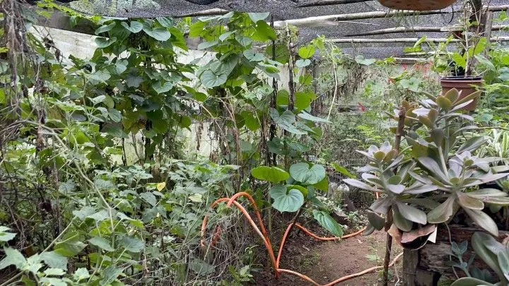 Country home for sale of 9 acres in Taquara, RS, Brazil