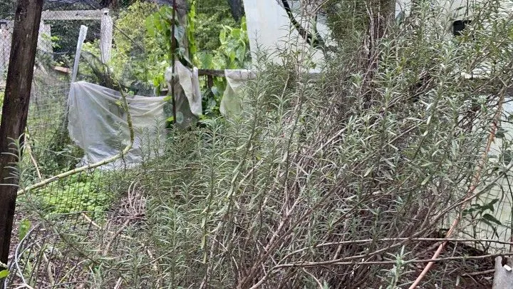 Country home for sale of 9 acres in Taquara, RS, Brazil