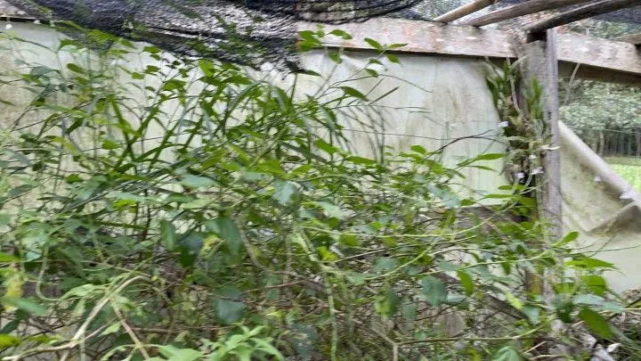Country home for sale of 9 acres in Taquara, RS, Brazil