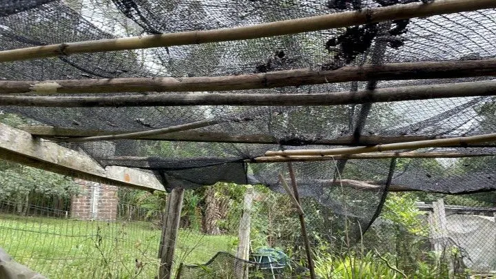Country home for sale of 9 acres in Taquara, RS, Brazil
