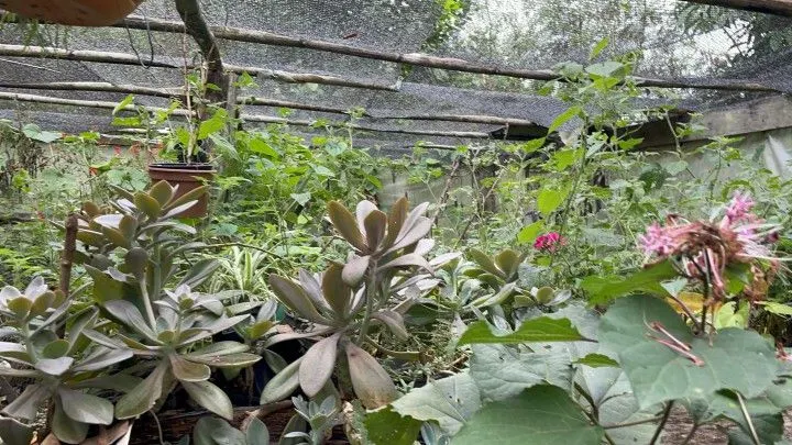 Country home for sale of 9 acres in Taquara, RS, Brazil