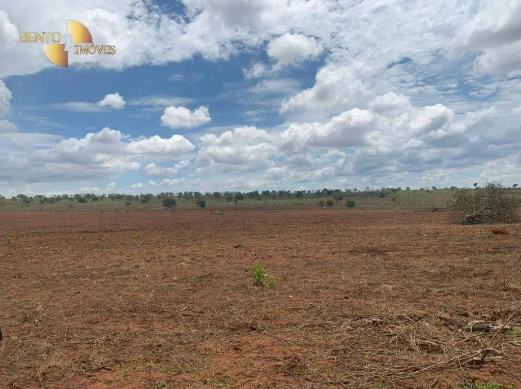 Fazenda à venda de 1.300 ha em Poxoréu, MT, Brasil