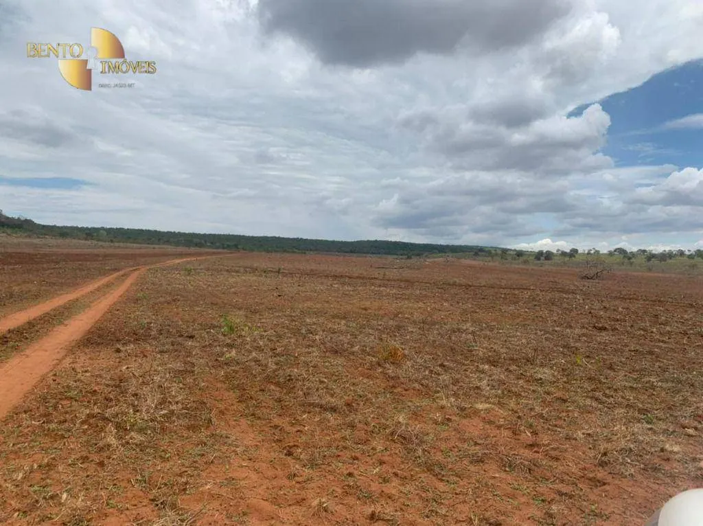 Fazenda à venda de 1.300 ha em Poxoréu, MT, Brasil