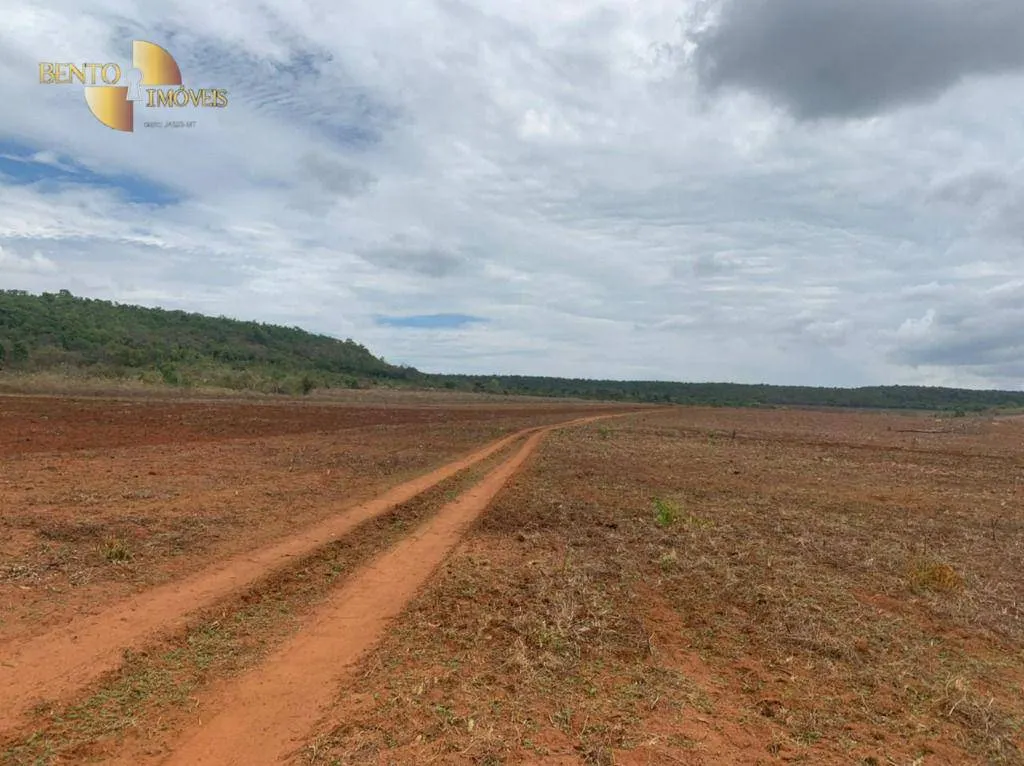 Fazenda à venda de 1.300 ha em Poxoréu, MT, Brasil