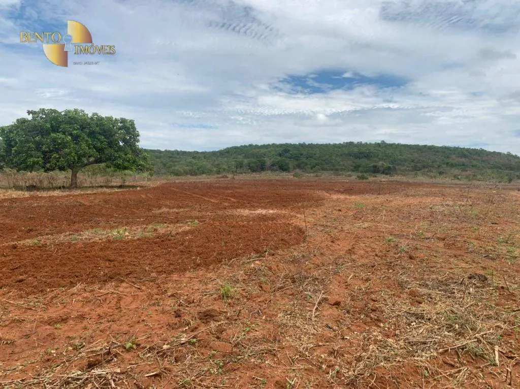 Fazenda à venda de 1.300 ha em Poxoréu, MT, Brasil