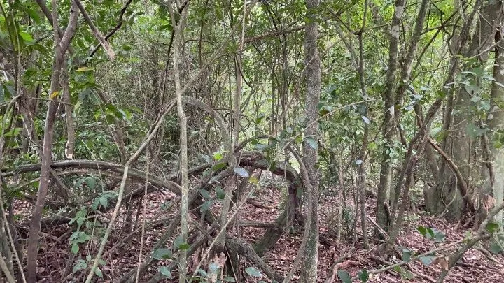 Plot for sale of 7 acres in Santo Antônio da Patrulha, RS, Brazil