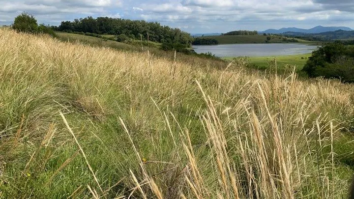 Plot for sale of 7 acres in Santo Antônio da Patrulha, RS, Brazil