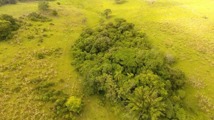 Plot for sale of 7 acres in Santo Antônio da Patrulha, RS, Brazil