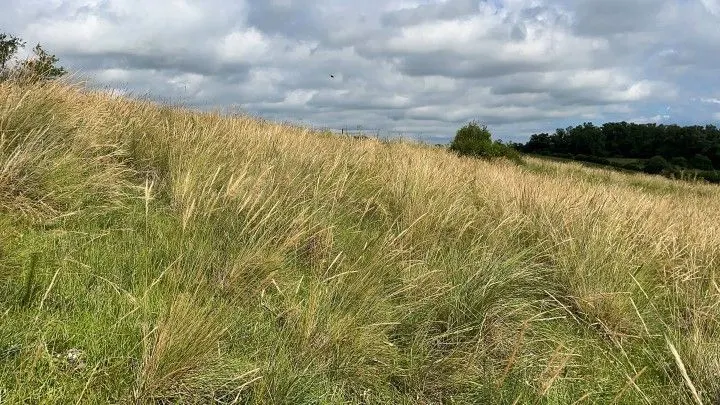 Plot for sale of 7 acres in Santo Antônio da Patrulha, RS, Brazil