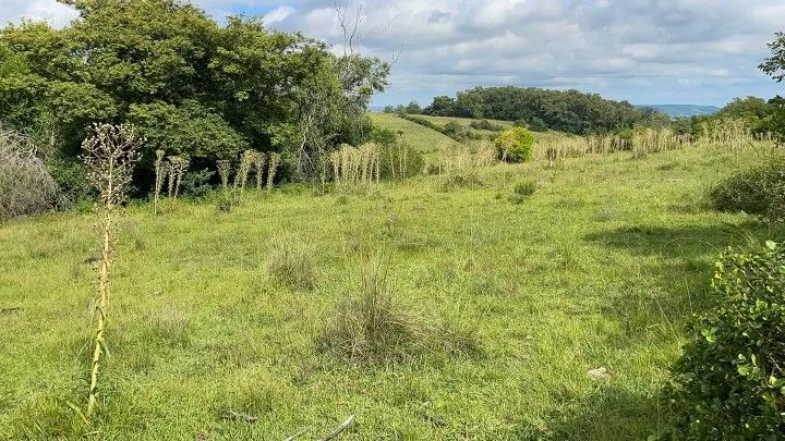 Plot for sale of 7 acres in Santo Antônio da Patrulha, RS, Brazil