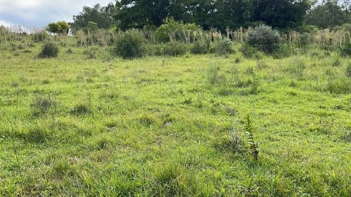 Plot for sale of 7 acres in Santo Antônio da Patrulha, RS, Brazil