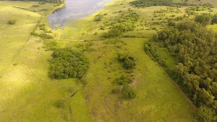 Plot for sale of 7 acres in Santo Antônio da Patrulha, RS, Brazil