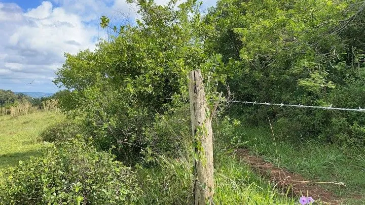 Plot for sale of 7 acres in Santo Antônio da Patrulha, RS, Brazil
