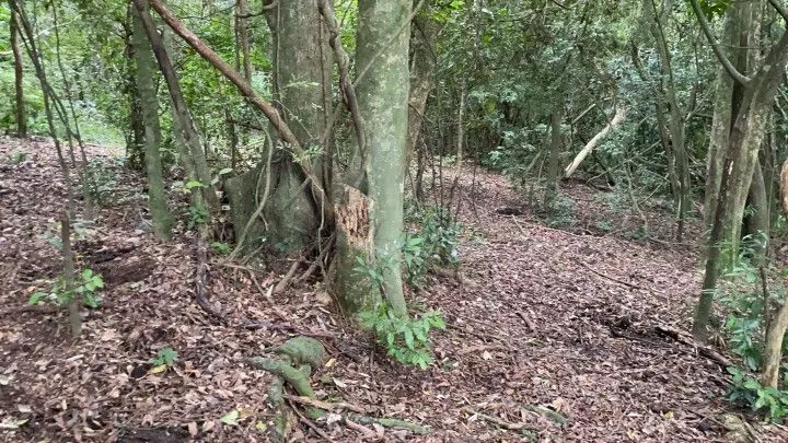 Plot for sale of 7 acres in Santo Antônio da Patrulha, RS, Brazil
