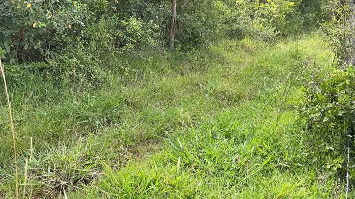 Plot for sale of 7 acres in Santo Antônio da Patrulha, RS, Brazil