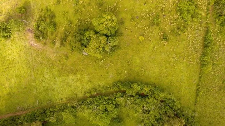 Plot for sale of 7 acres in Santo Antônio da Patrulha, RS, Brazil