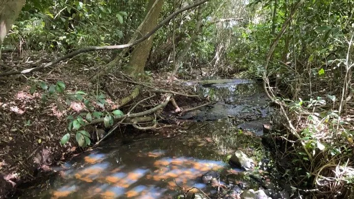 Plot for sale of 7 acres in Santo Antônio da Patrulha, RS, Brazil
