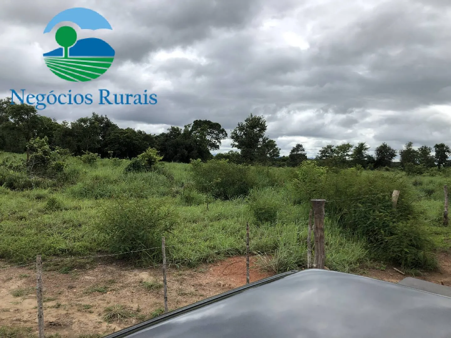 Fazenda à venda de 261 ha em Alto Horizonte, GO, Brasil