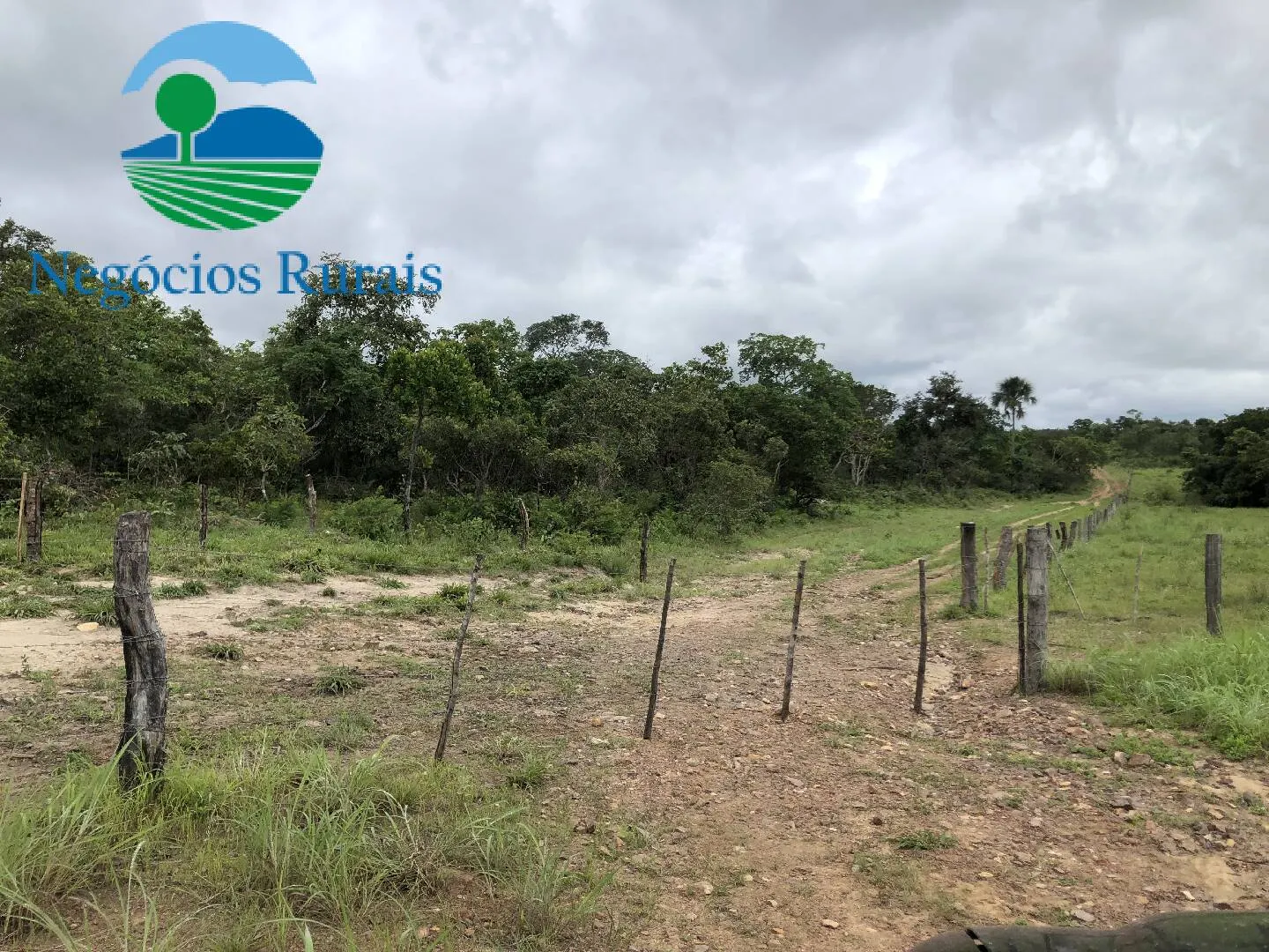 Fazenda à venda de 261 ha em Alto Horizonte, GO, Brasil