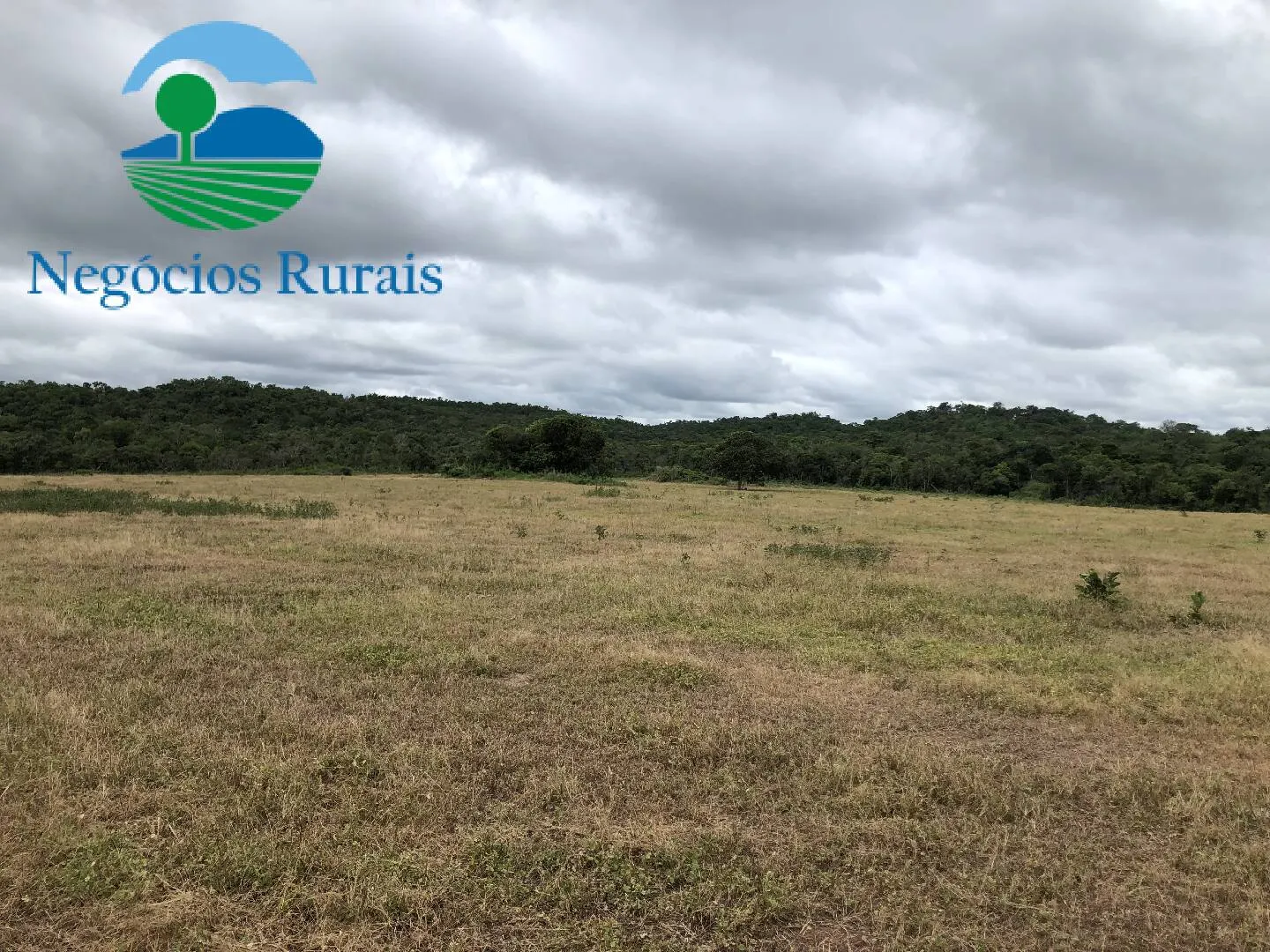 Fazenda à venda de 261 ha em Alto Horizonte, GO, Brasil