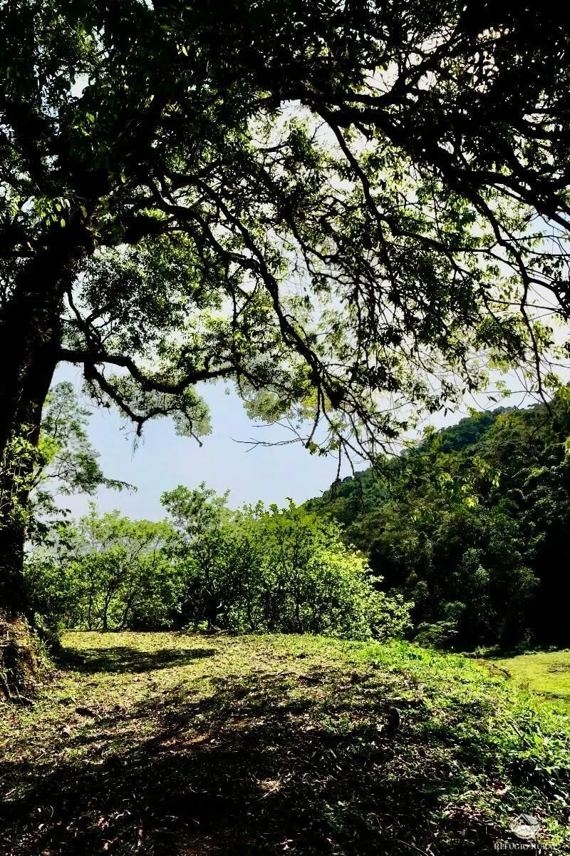 Small farm for sale of 5 acres in São José dos Campos, SP, Brazil