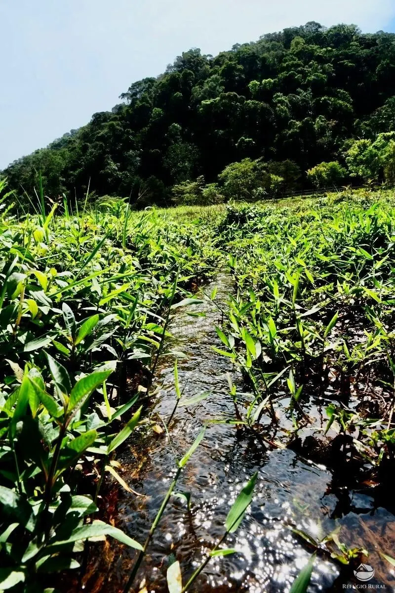 Small farm for sale of 5 acres in São José dos Campos, SP, Brazil