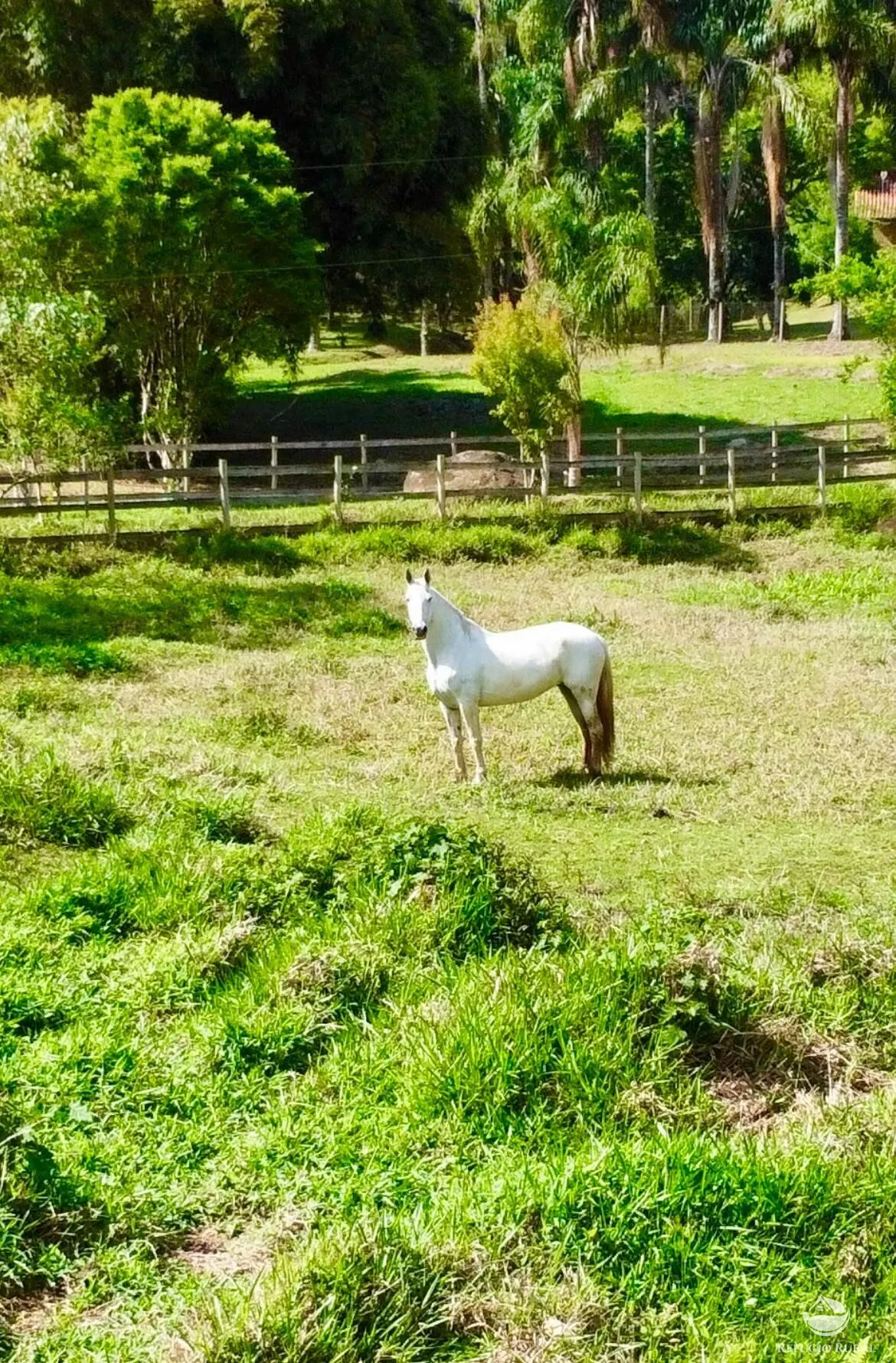 Small farm for sale of 5 acres in São José dos Campos, SP, Brazil