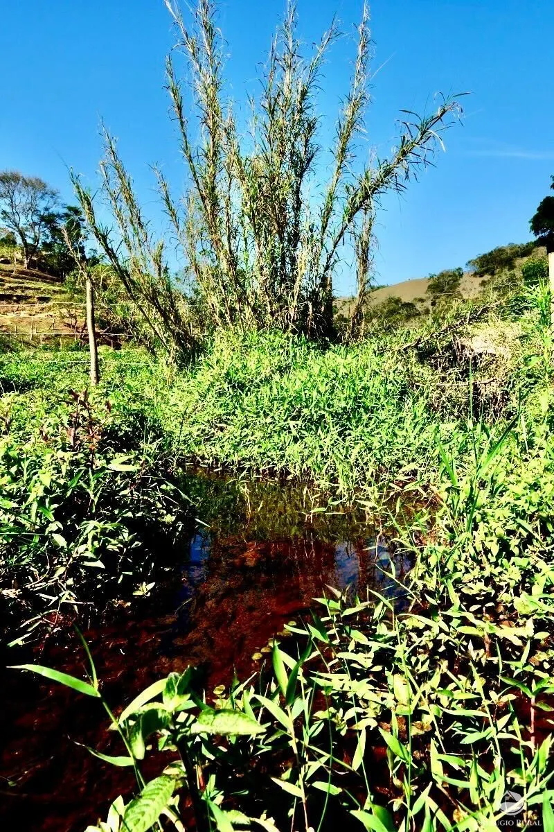 Small farm for sale of 5 acres in São José dos Campos, SP, Brazil