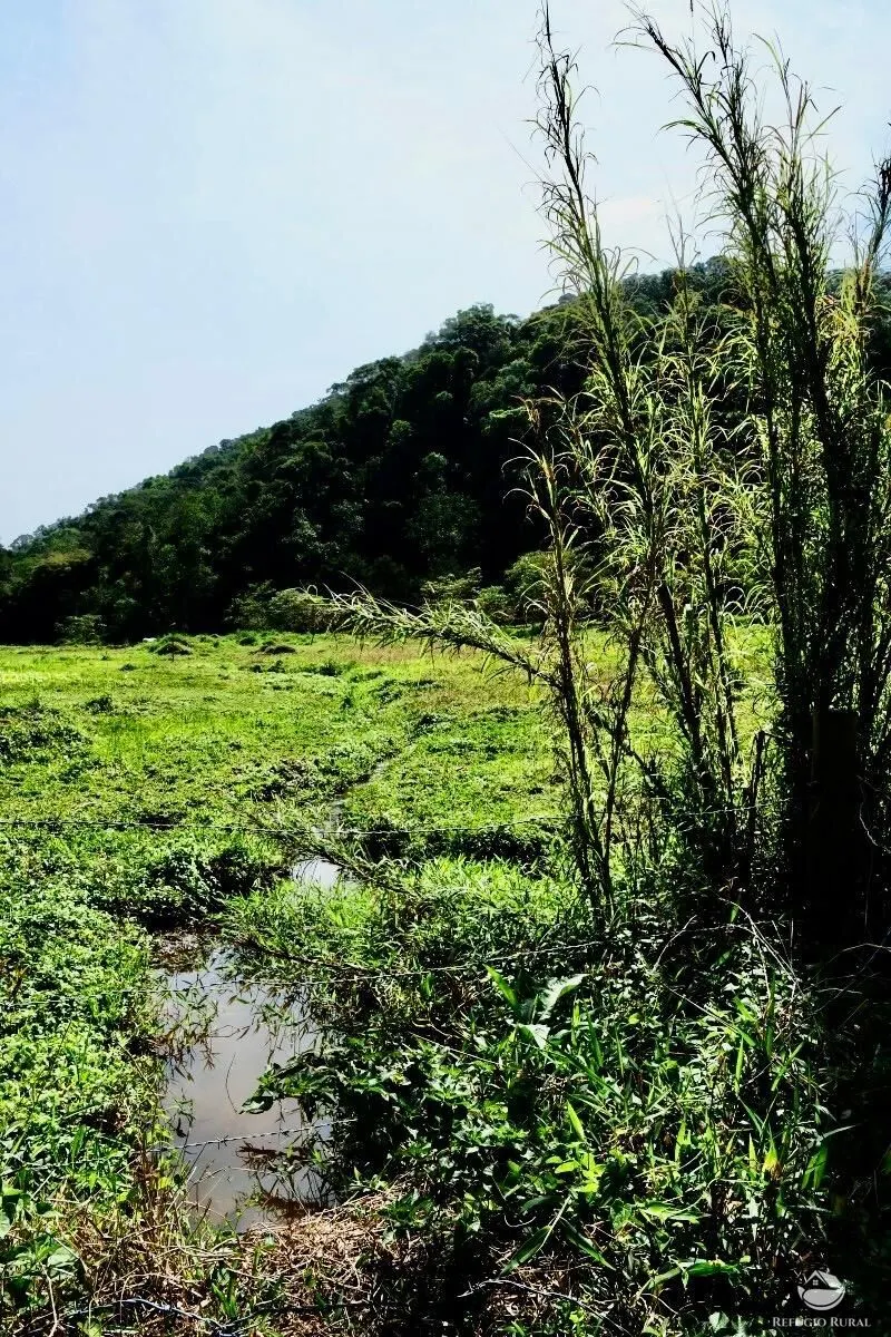 Small farm for sale of 5 acres in São José dos Campos, SP, Brazil