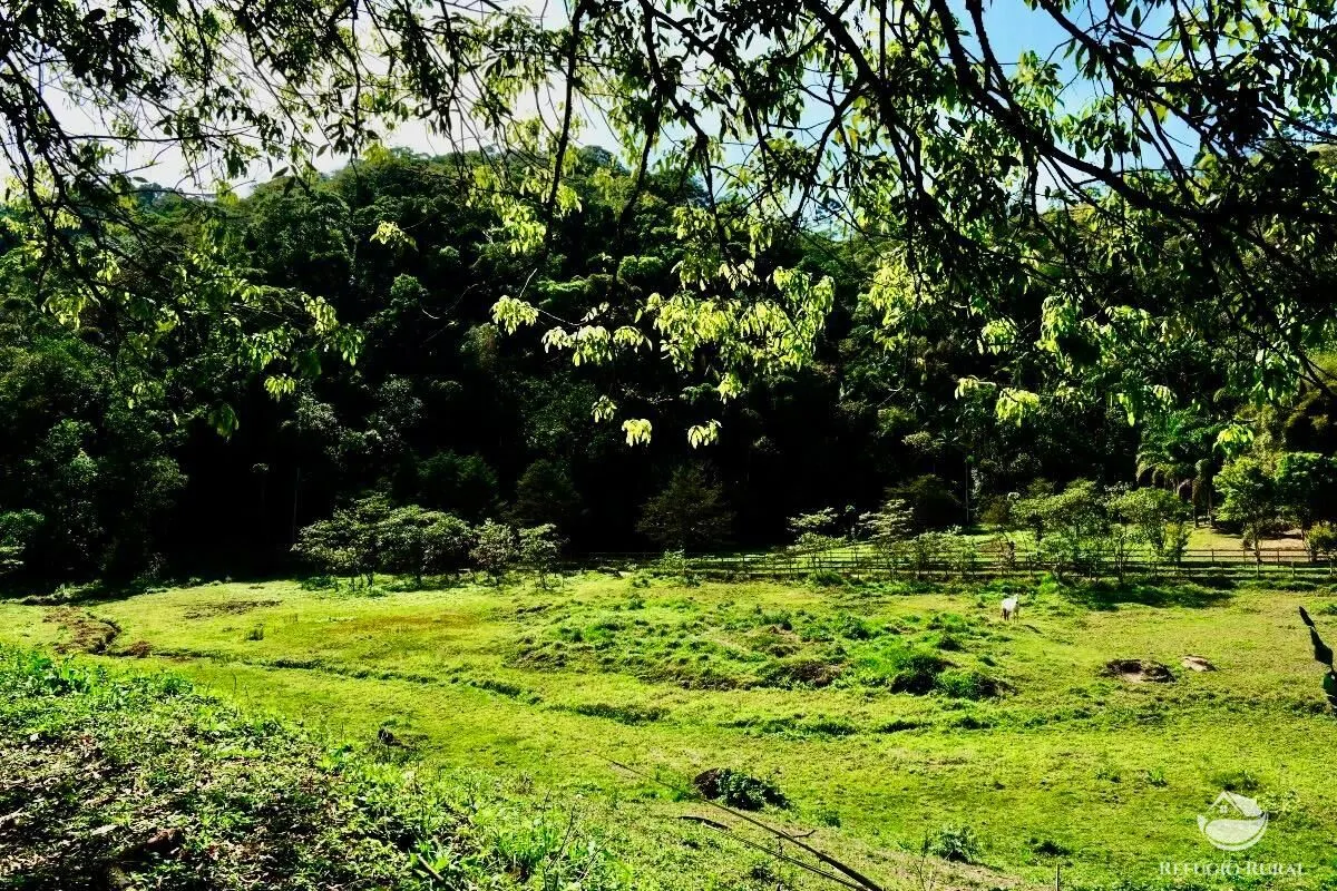 Small farm for sale of 5 acres in São José dos Campos, SP, Brazil