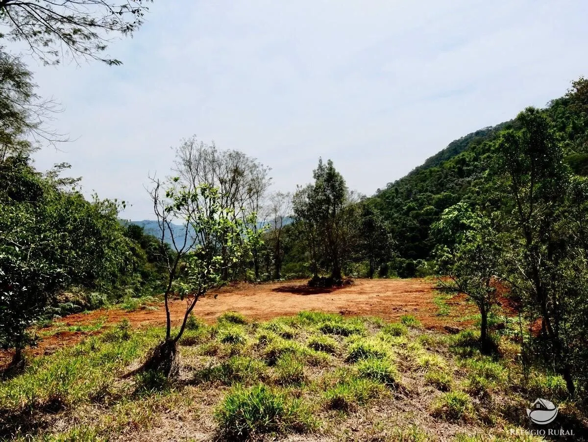 Small farm for sale of 5 acres in São José dos Campos, SP, Brazil
