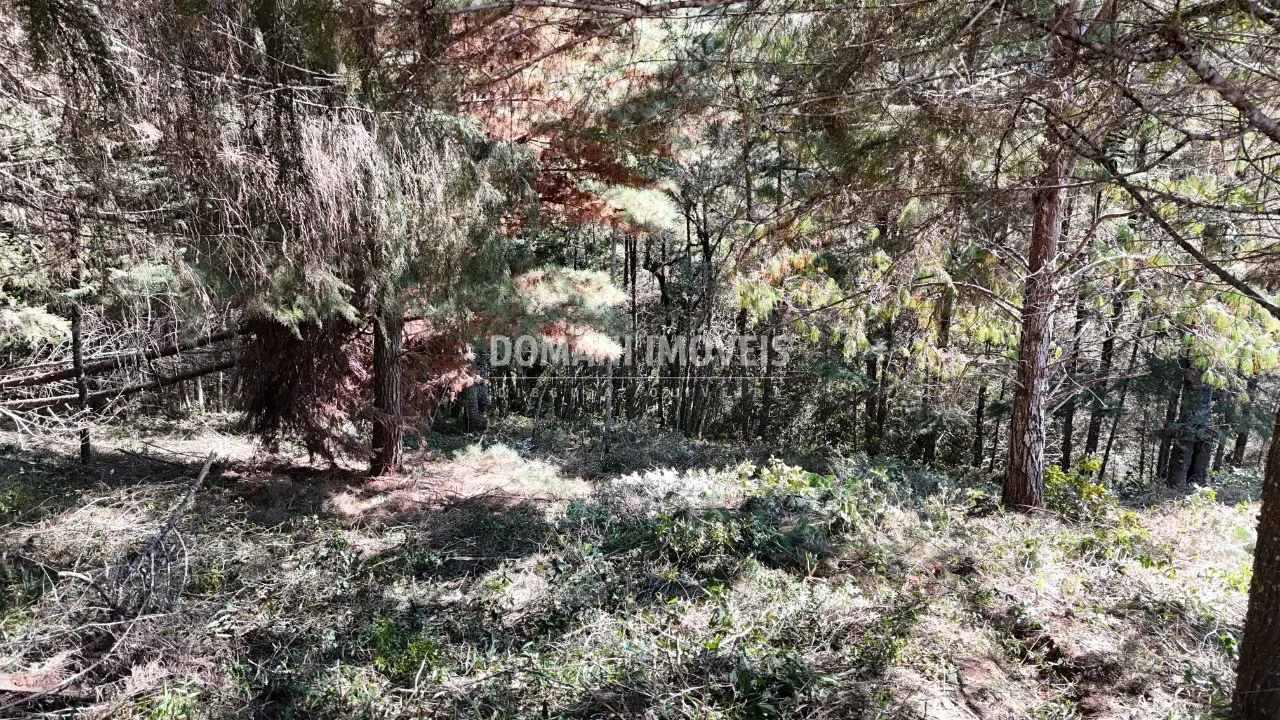 Plot for sale of 1,080 m² in Campos do Jordão, SP, Brazil