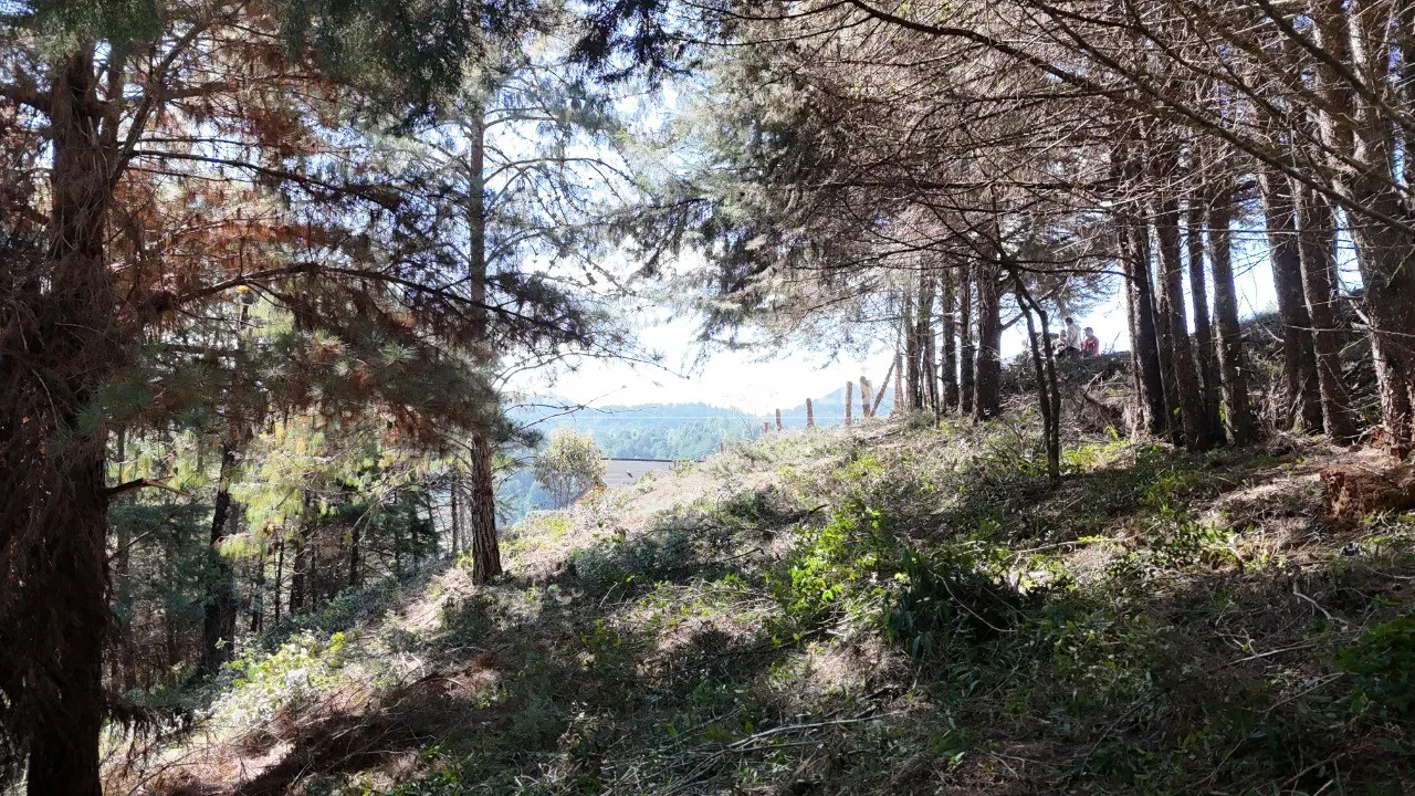 Plot for sale of 1,080 m² in Campos do Jordão, SP, Brazil