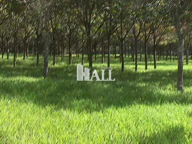Fazenda à venda de 73 ha em Caiuá, SP, Brasil