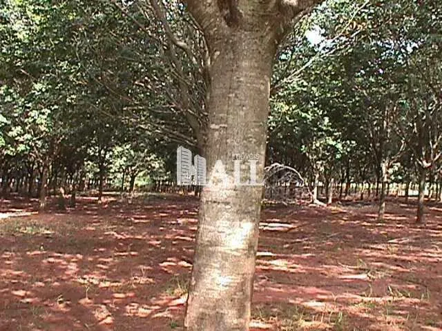 Fazenda à venda de 73 ha em Caiuá, SP, Brasil